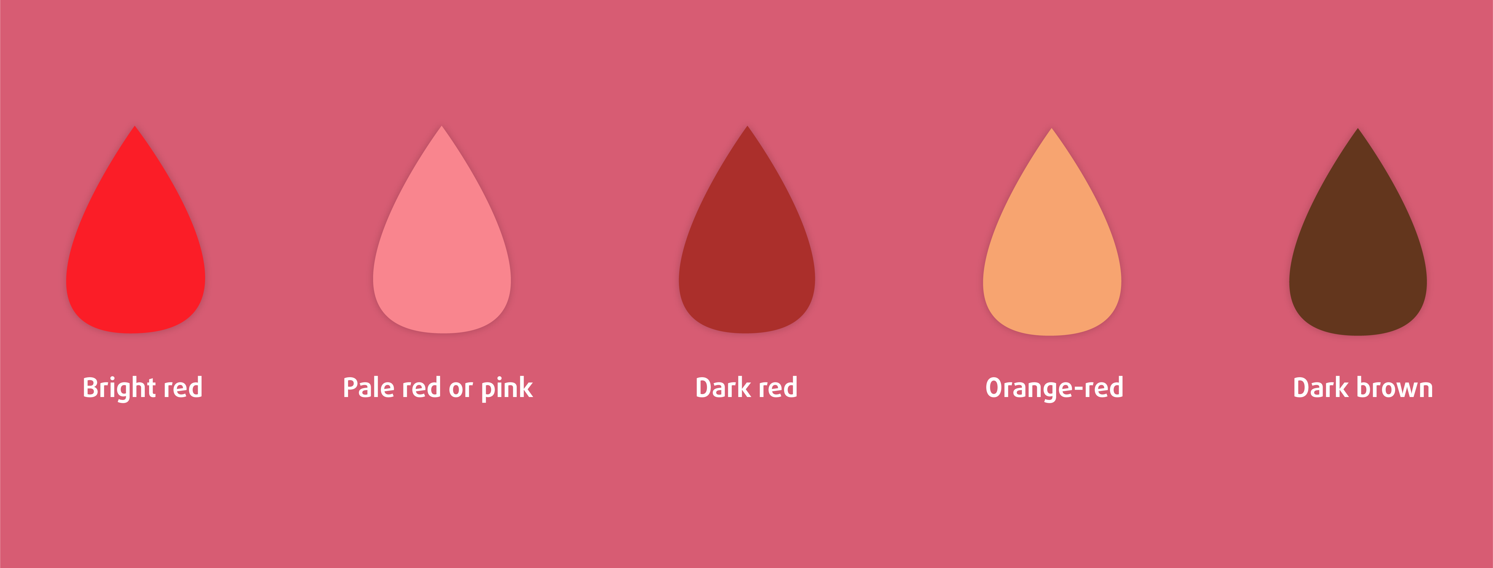 does your menstrual blood say about your health? - Enna